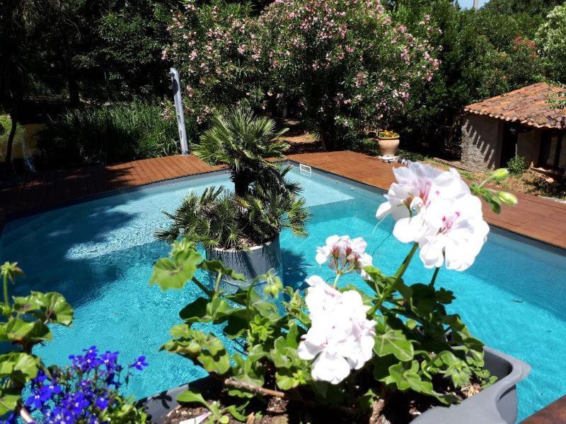 Casa9 Hotel Тюир Екстериор снимка